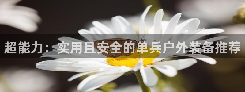 新宝gg属于