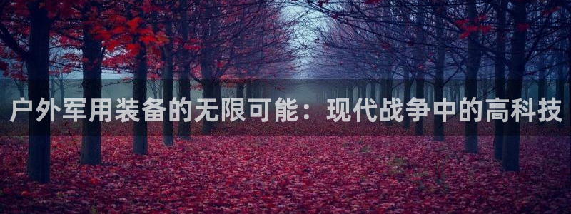 新宝gg手机登录官网