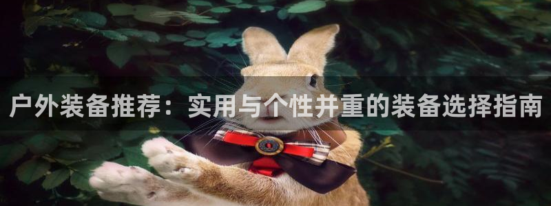 新宝gg图片