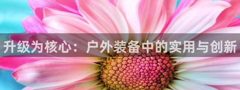 新宝gg创造奇迹