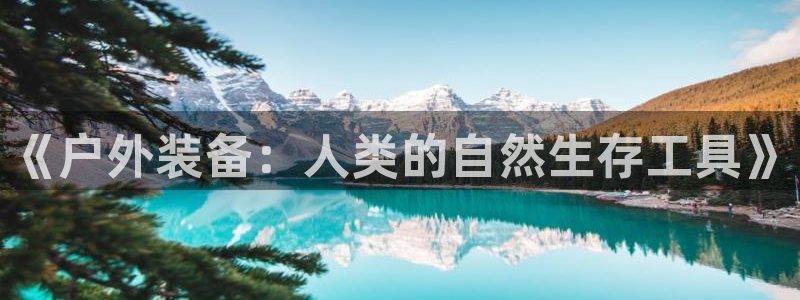 新宝gg网点