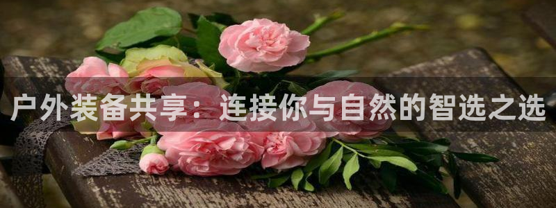 新宝gg传奇