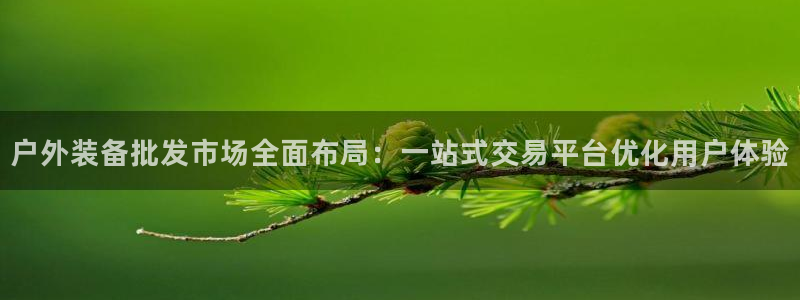 新宝 gg 总代理