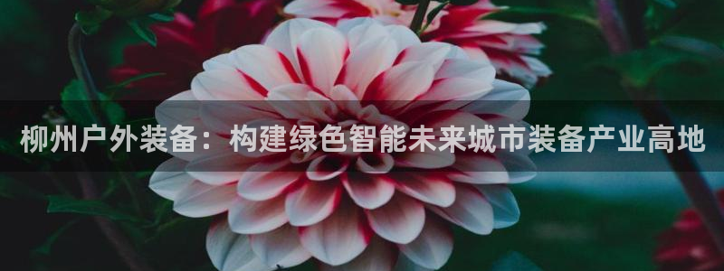 新宝gg网点