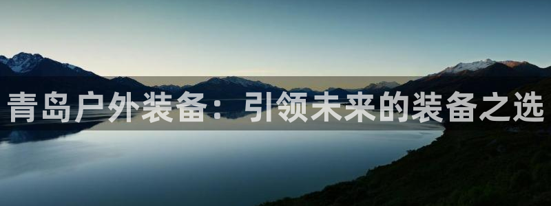 新宝gg软件下载
