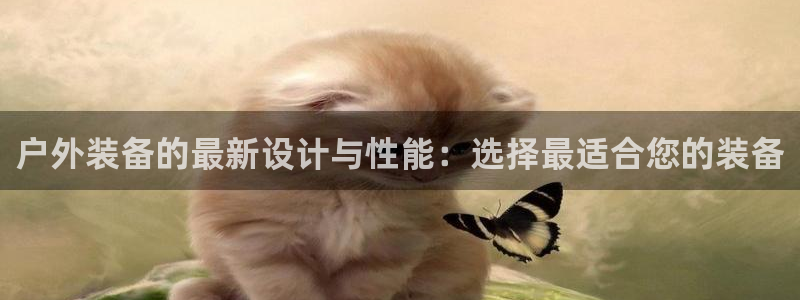 新宝gg挂机软件下载