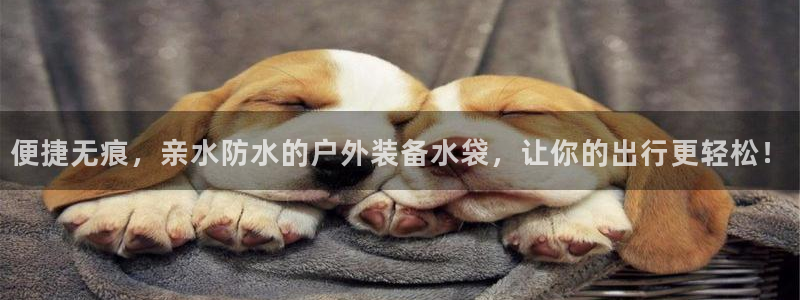 新宝gg样