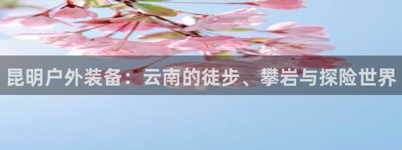 新gg宝
