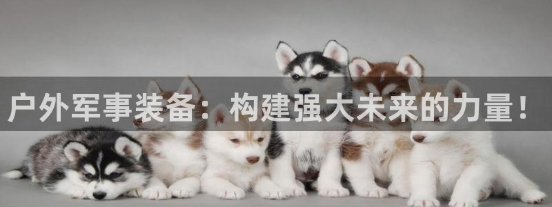 新宝gg评论