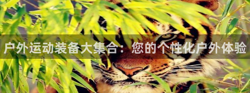 新宝gg为什么没人管