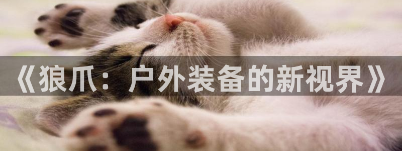 新宝gg 网址