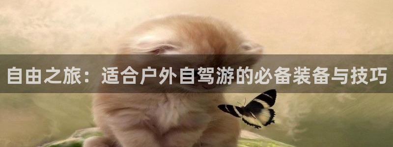 gg新宝gg
