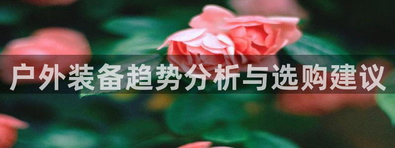 新宝gg 039