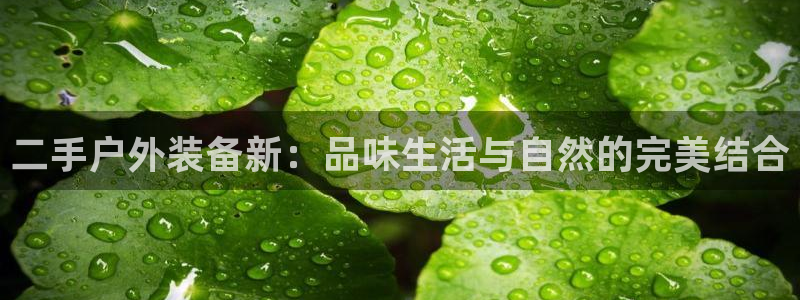 新宝GG娱乐下载