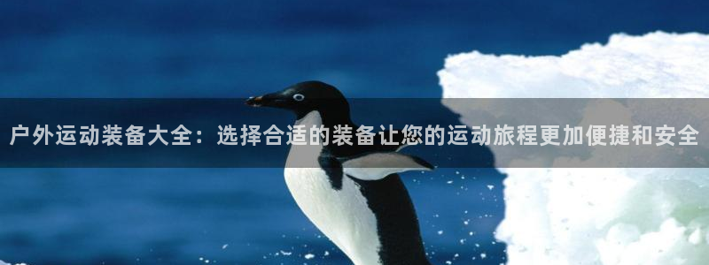 收新宝gg