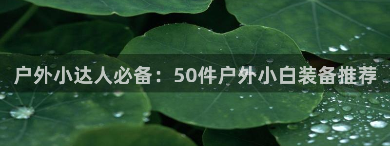 新宝娱gg