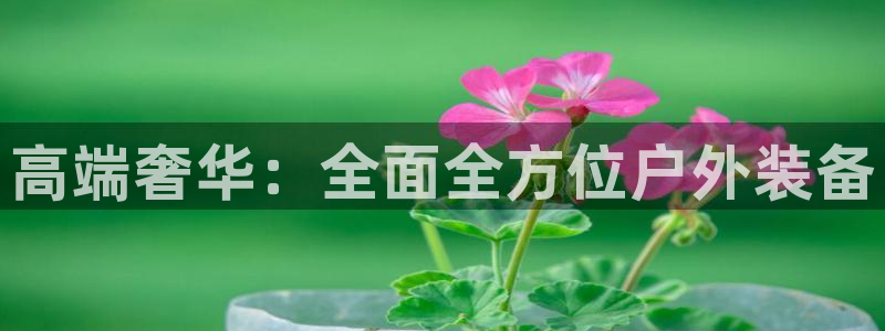 新宝GG类别78778