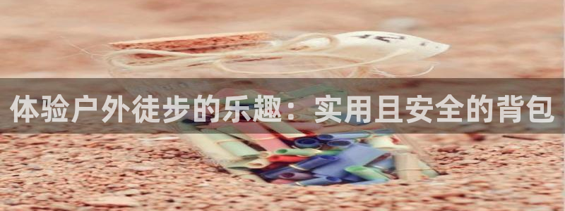 新宝gg登录链接