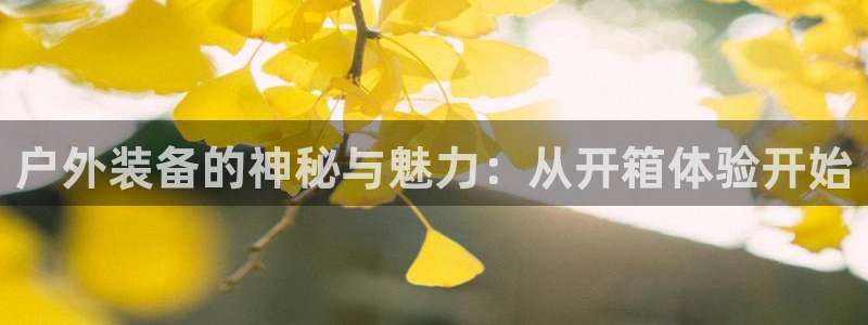 新宝太阳 gg