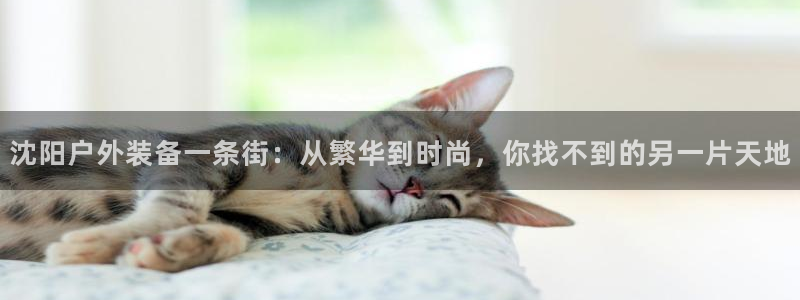 新宝gg官方下载