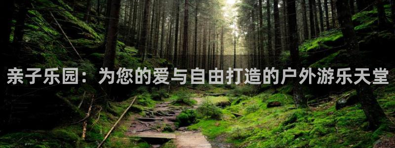 新宝gg什么