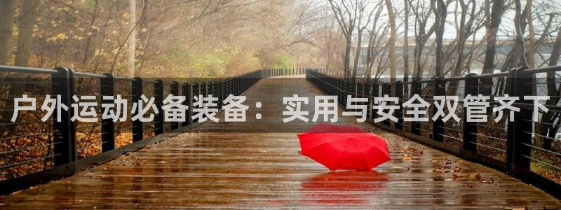新宝gg真的