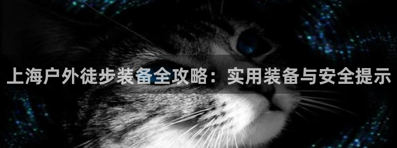 新宝gg博彩
