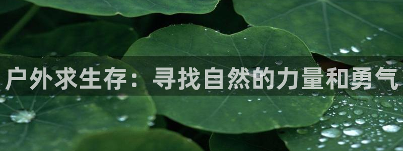 娱乐世界新宝gg