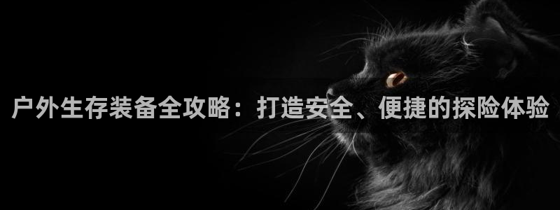 下载新宝gg