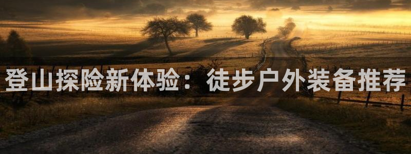 新宝gg平台下载安装