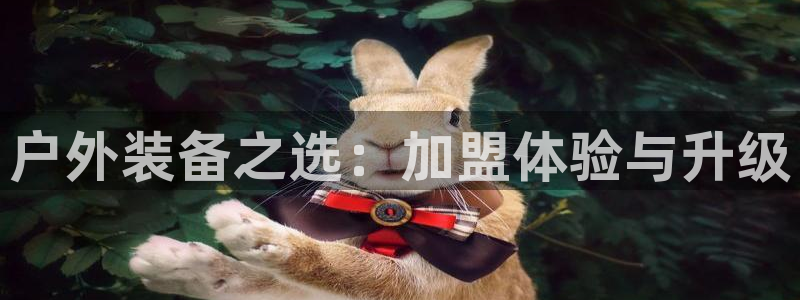 新宝gg新宝5注册