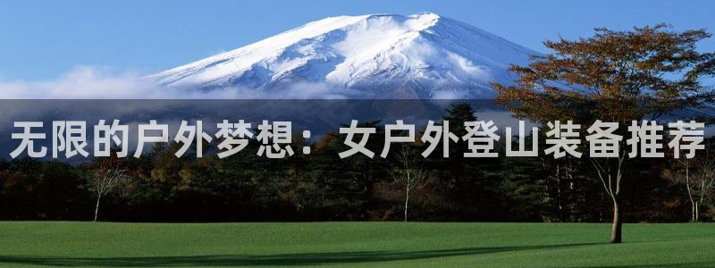 新宝gg挂机软件下载