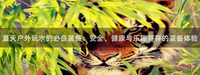 新宝GG之家