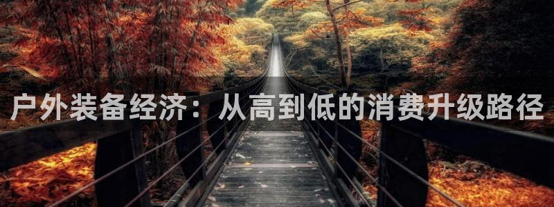新宝gg正规