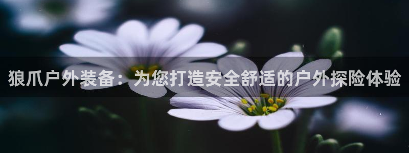 新宝 gg 总代理