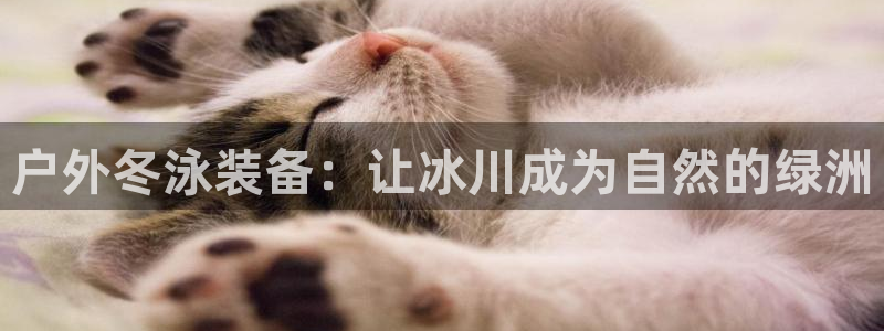 新宝GG股东