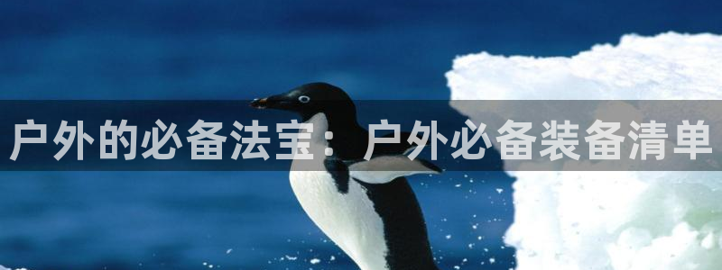 新宝gg是什么