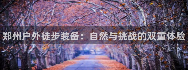 新宝gg龙虎规则