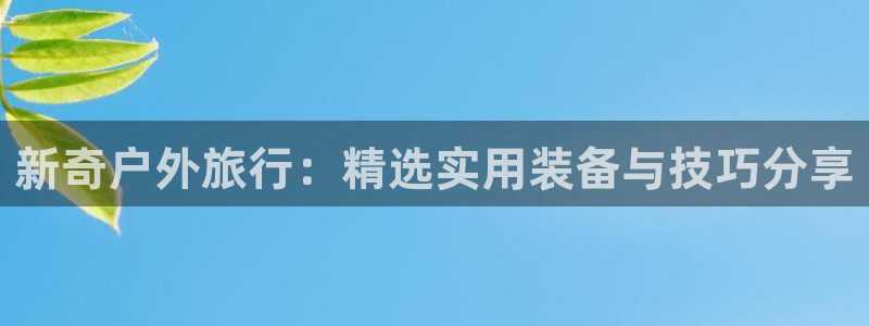 认准新宝gg