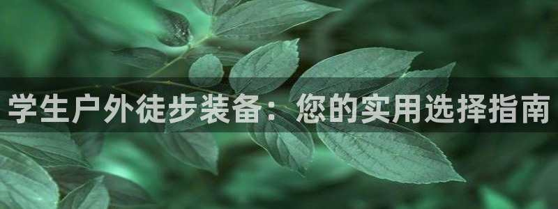 新宝gg主管baidu
