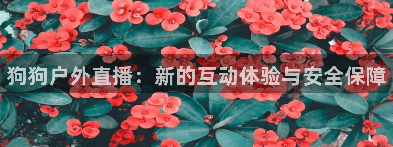 新宝gg创造奇迹 新宝gg