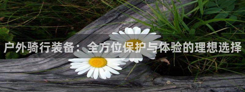 新宝gg佣金