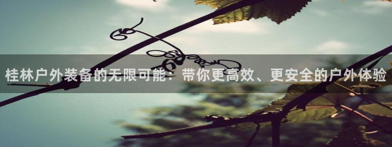 新宝gg奇迹