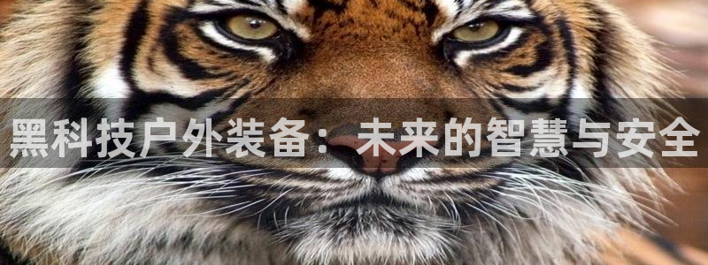 太阳gg和新宝gg