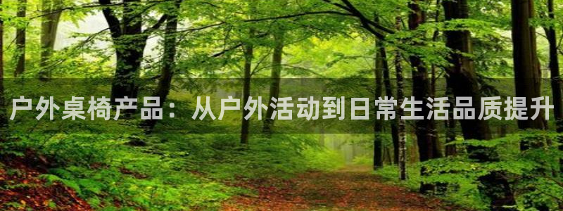 新宝GG反点
