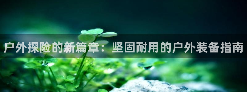 关于新宝GG