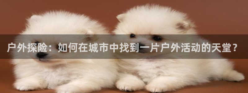 新宝gg合法吗