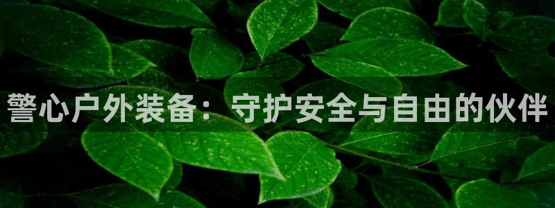 www.新宝gg