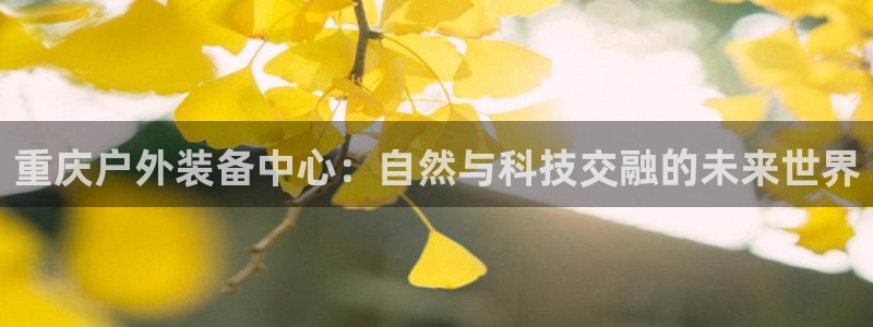 新宝gg游戏登录