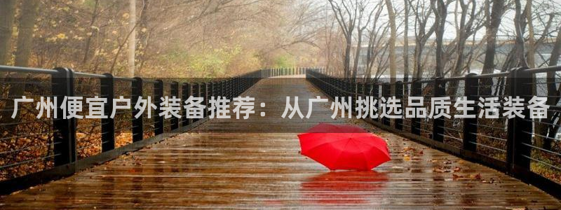 新宝gg 网址